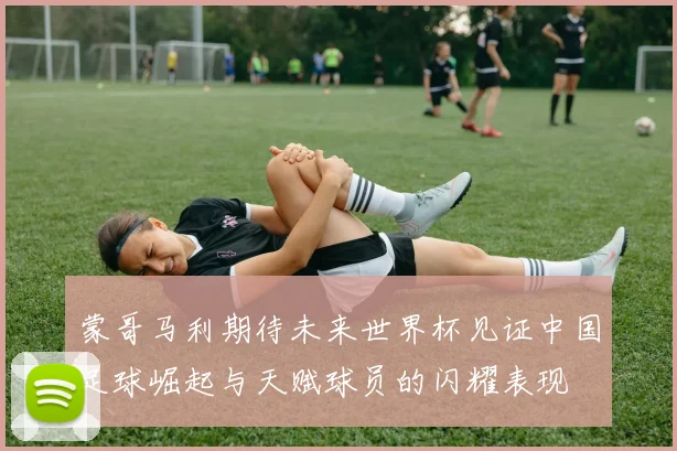 蒙哥马利期待未来世界杯见证中国足球崛起与天赋球员的闪耀表现
